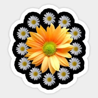 daisy flower daisies bloom floral blooming florets Sticker